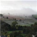 Nice bit of mist on Luscombe hills this morning